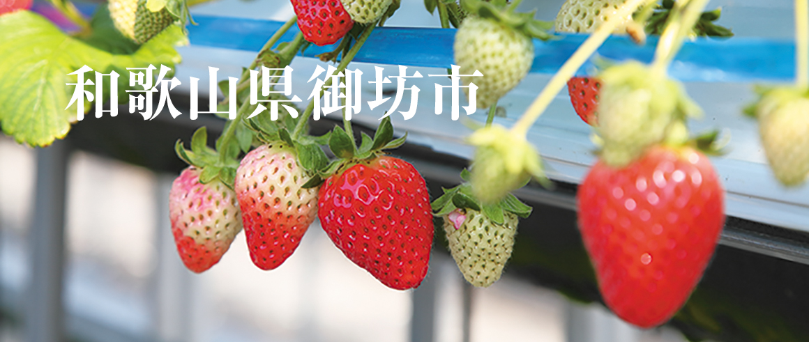 和歌山県御坊市（ごぼうし）
